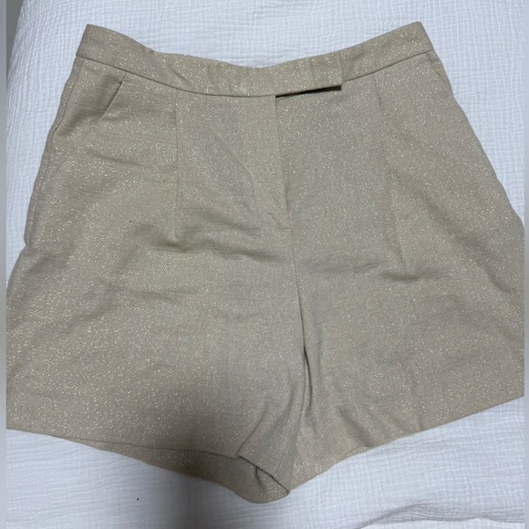 Zara Pants - Zara Beige Metallic High-Waist Women’s Shorts